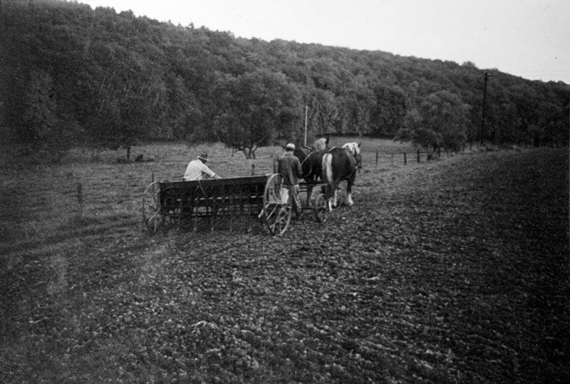Landwirtschaft des Hofgut Adamstals vor über 60 Jahren